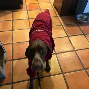 Meet your Posher, Kendall